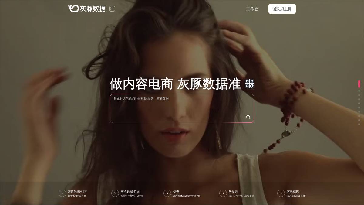 灰豚数据